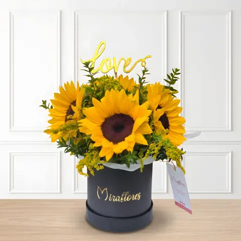 Arreglo Serenata de Girasoles