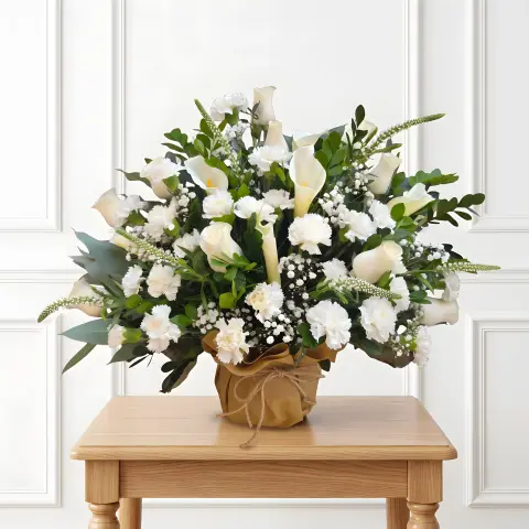Majestad Floral
