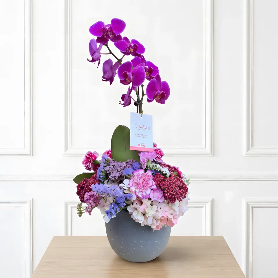 Orquídea Phalaenopsis Violeta & Base Floral
