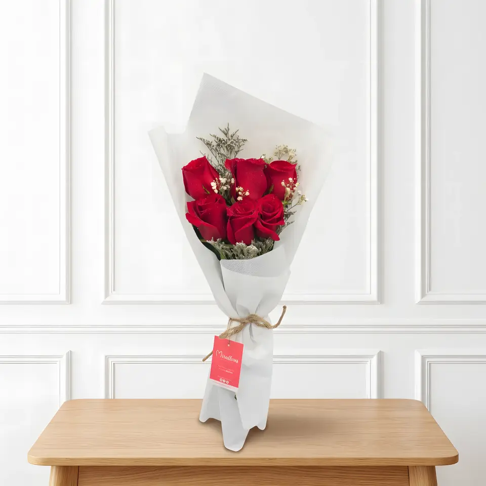Ramo Lucia (Ofertas)